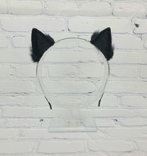 Load image into Gallery viewer, Simple BYO Micro Kitten