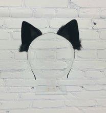 Load image into Gallery viewer, Simple BYO Kitten