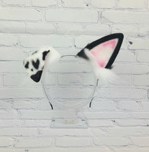 Load image into Gallery viewer, BYO Dalmatian *PRE ORDER*