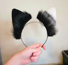 Load image into Gallery viewer, Dungeon Cat *PRE ORDER*