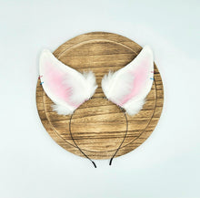 Load image into Gallery viewer, BYO Horse *PRE ORDER*