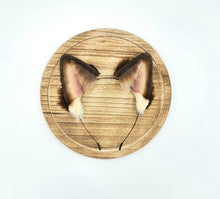 Load image into Gallery viewer, Brown & Blonde Cat