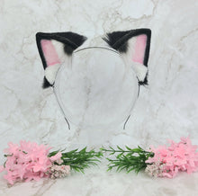 Load image into Gallery viewer, Black Kitten