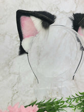 Load image into Gallery viewer, Black Kitten