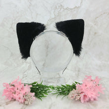 Load image into Gallery viewer, Rainbow Pride Black Cat