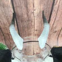 Load image into Gallery viewer, Krampus Ears