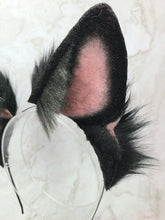 Load image into Gallery viewer, Natural Black German Shepherd
